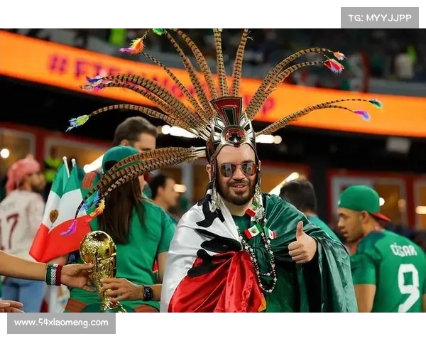2014墨西哥绿衫军团世界杯赛场展雄风