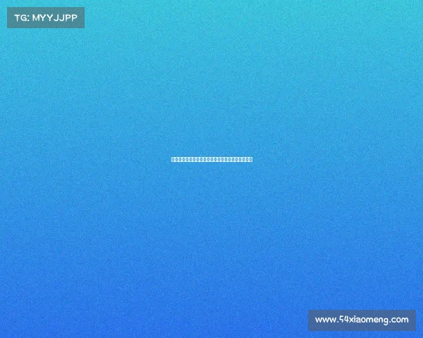 埃及最新赛事权威追踪全面解析比赛热点与发展趋势